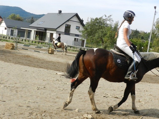Babie Lato 2016